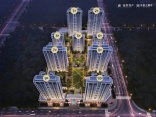 德州金辰大都会典范之作